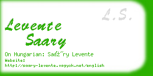 levente saary business card